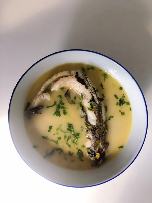 昂刺鱼豆腐汤